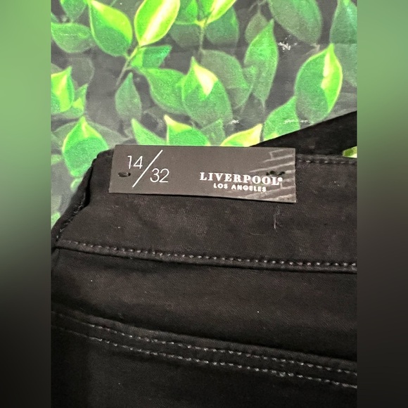 NWT Liverpool Abby Skinny Jeans in Black Rinse -Size 14 Black - Picture 10 of 11